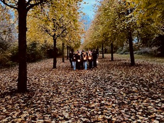 Efterårsbillede. Blade faldet ned af træerne Allehelgensoptog i Slangerup